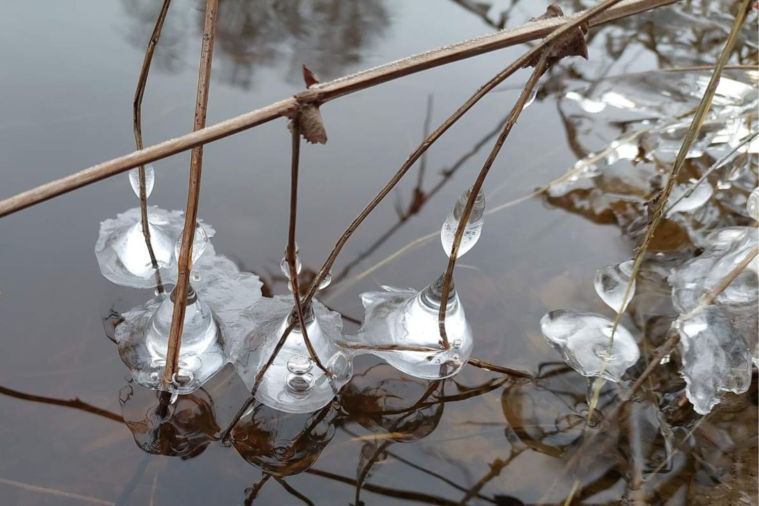 Pastelsetes kevadtoonides pildil on  lapse käsi, mis hoiab maikellukeste kimpu.
